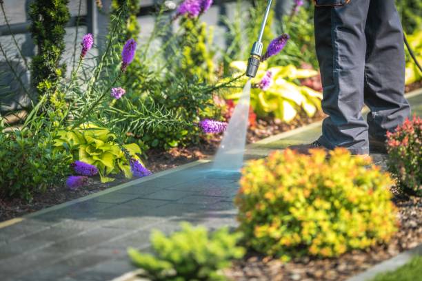 Best Dumpster Area Cleaning  in Fort Recovery, OH