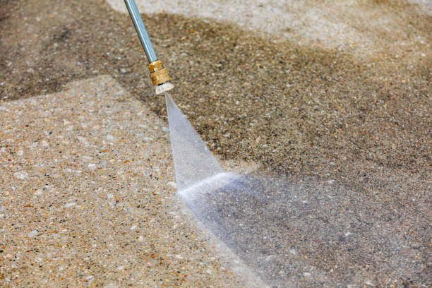 Animal Enclosure Cleaning in Fort Recovery, OH