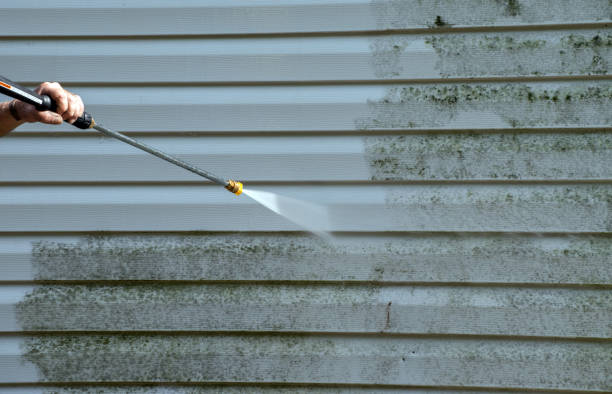 Best Gutter Cleaning  in Fort Recovery, OH
