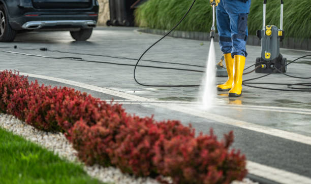 Best Solar Panel Cleaning  in Fort Recovery, OH